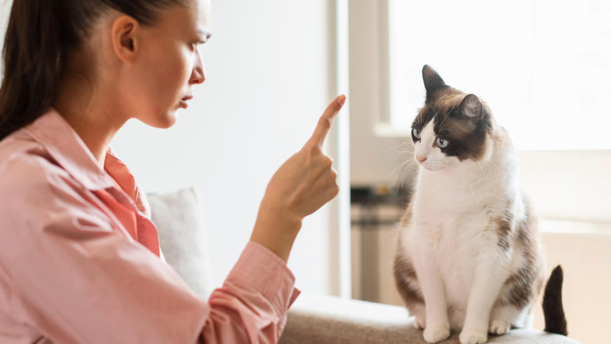  Woman telling off her cat. 