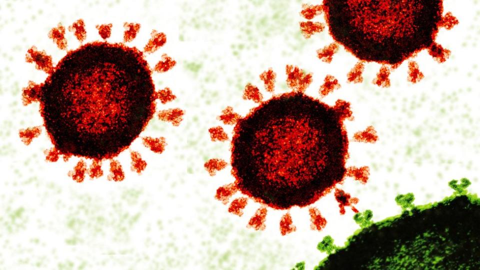 Coronavirus