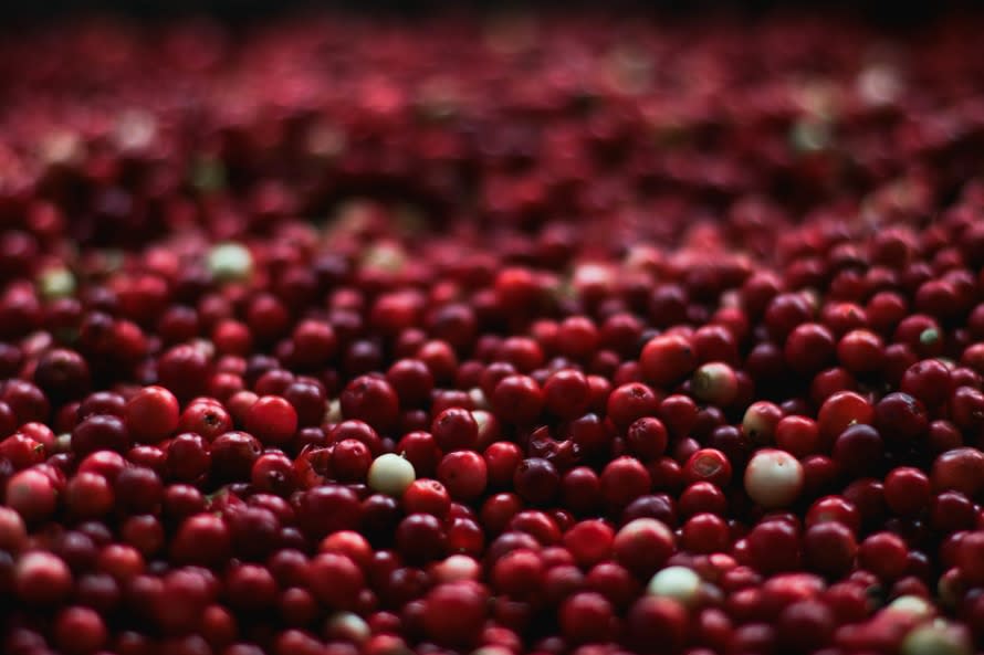 This study says you should stop using cranberry juice to “cure” your UTI