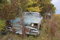 <p>The 1958 Oldsmobile 88 earned the moniker <strong>'Chromemobile'</strong> due to its abundant brightwork. This one retains most of its chrome, although that grille has seen better days. It doesn’t have a layer of foliage above it, which explains why the brightwork is still gleaming and the bodywork remains in relatively sound condition.</p>