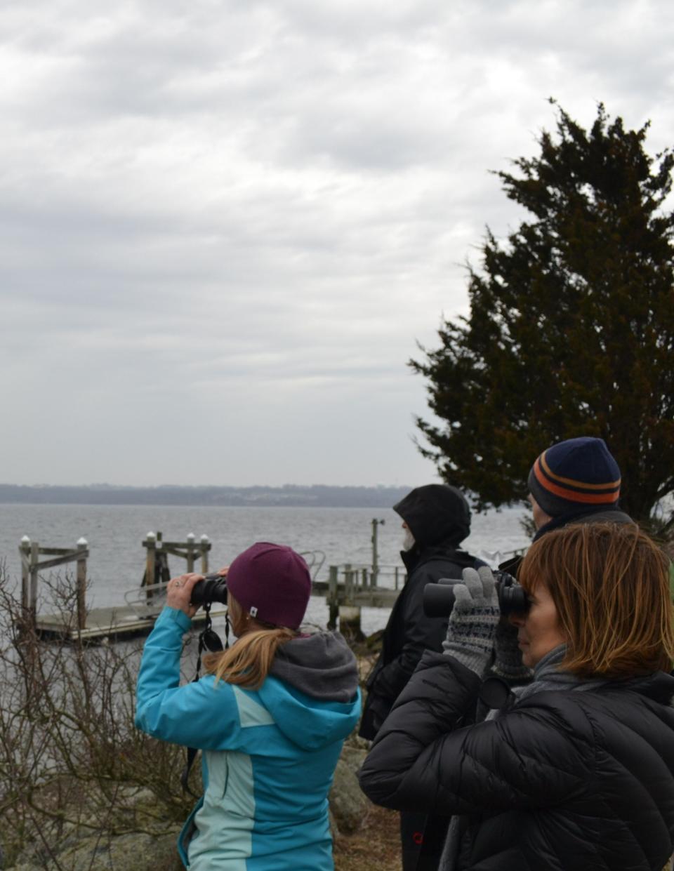 NBNERR Education Coordinator Maureen Dewire and members of the public look for gray seals, common eiders and other wildlife on Prudence Island's southeastern shoreline.