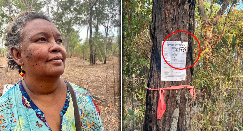 Left - Lorraine Williams. Right - A tree that was likely from 1759.