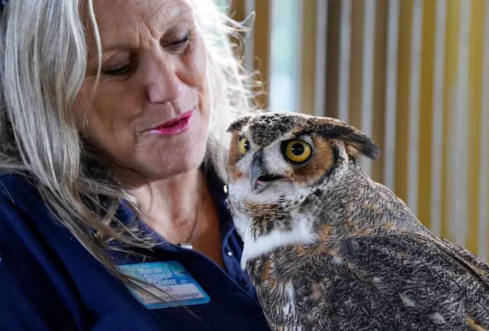 Shell Webster and "Bubba" a great horned owl, pose for a photo during the Marine Science Center's raptor exhibit opening ceremony in Ponce Inlet, Tuesday, Dec.12, 2023.