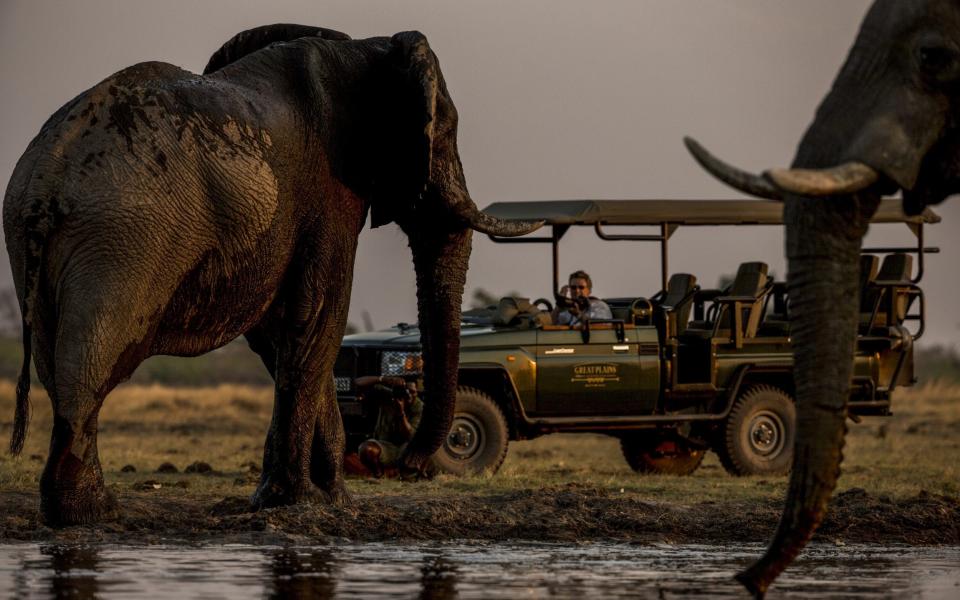 Great Plains Explorers Selinda Safari walking camp with elephants