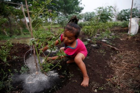 The Wider Image: Indonesia's firefighters on frontline of Borneo's forest blazes