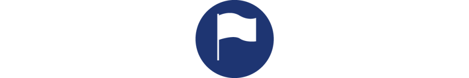 flag icon