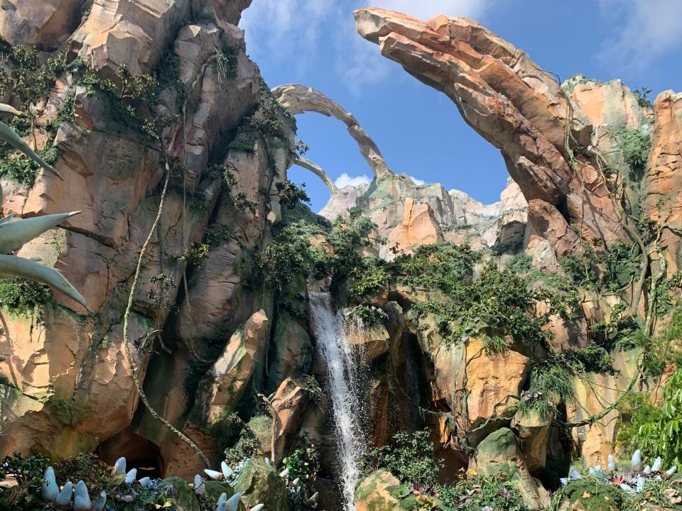 exterior shot of the pandora area at animal kingdom near flight of passage