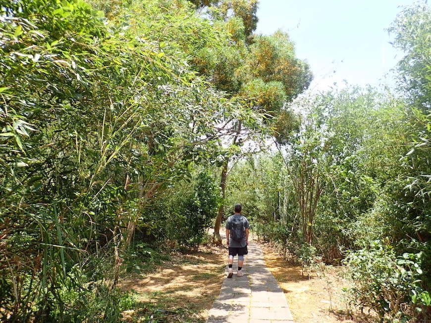 苗栗老崎古道（頭份後花園步道）