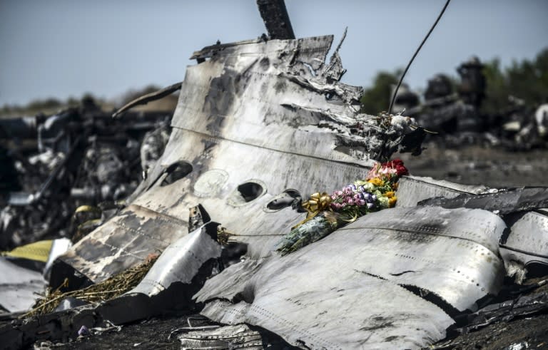 This photo taken on July 26, 2014 shows flowers, left by parents of an Australian victim of the crash, laid on a piece of the Malaysia Airlines plane MH17, near the village of Hrabove in the Donetsk region