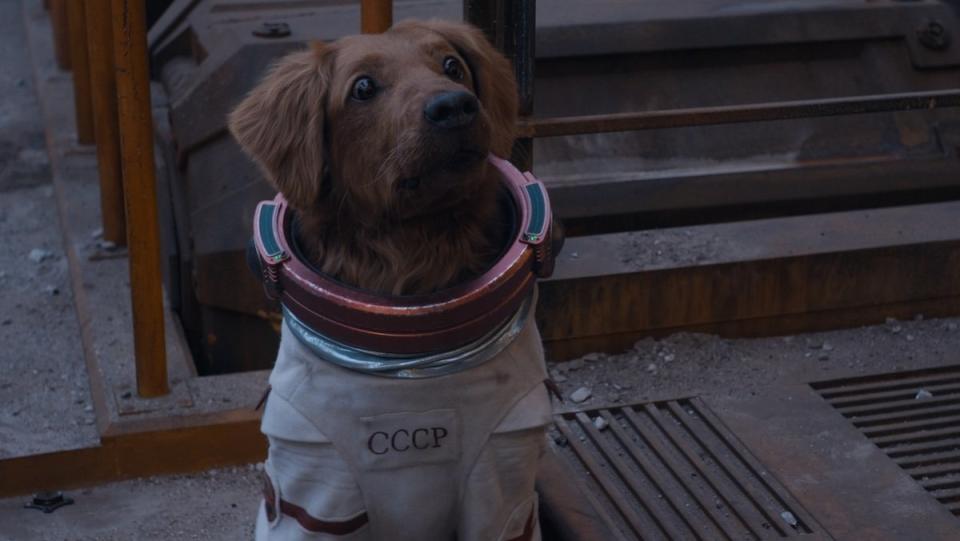 Cosmo the Dog in her spacesuit sitting in Guardians of the Galaxy Vol. 3