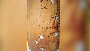 The bloodied cricket bat that forensic experts believe was used to beat Ms Steenkamp before her death. Photo: South African Police Service