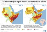 La corne de l'Afrique, région touchée par sécheresse et famine (AFP/Kenan AUGEARD)