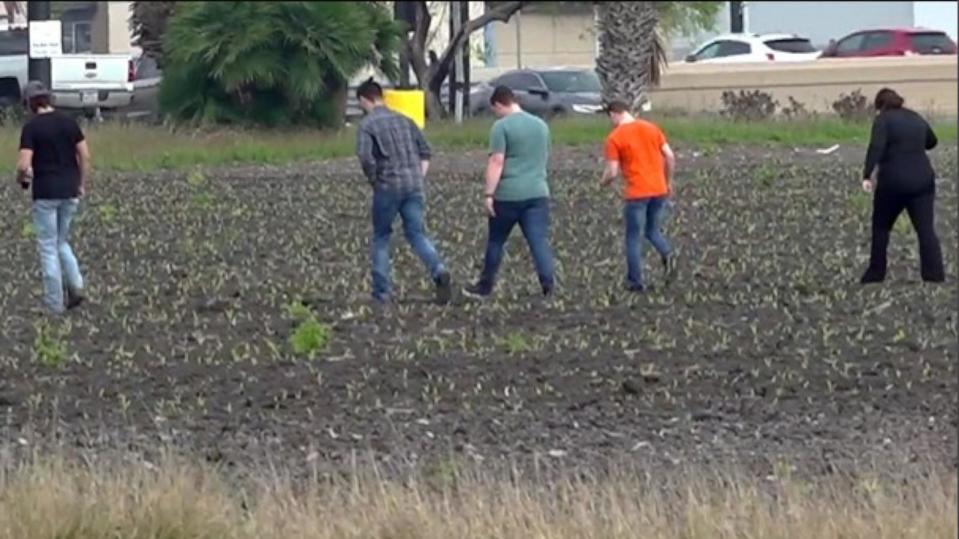 PHOTO: Authorities and volunteers search for missing Texas A&M-Corpus Christie student Caleb Harris in Corpus Christie, Texas, March 6, 2024. (KIII)