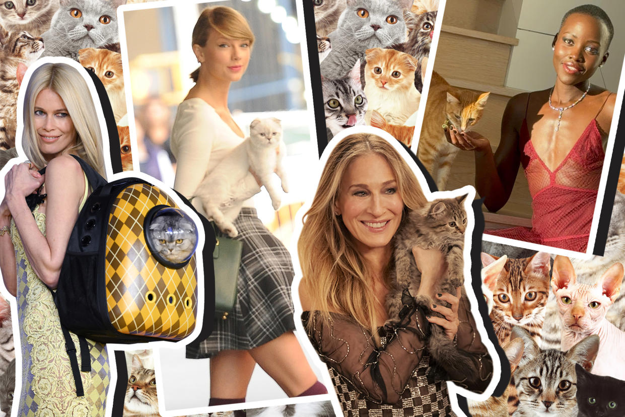 A collage of celebrity cat-lovers like Taylor Swift, Sarah Jessica Parker and Lupita Nyong'o.