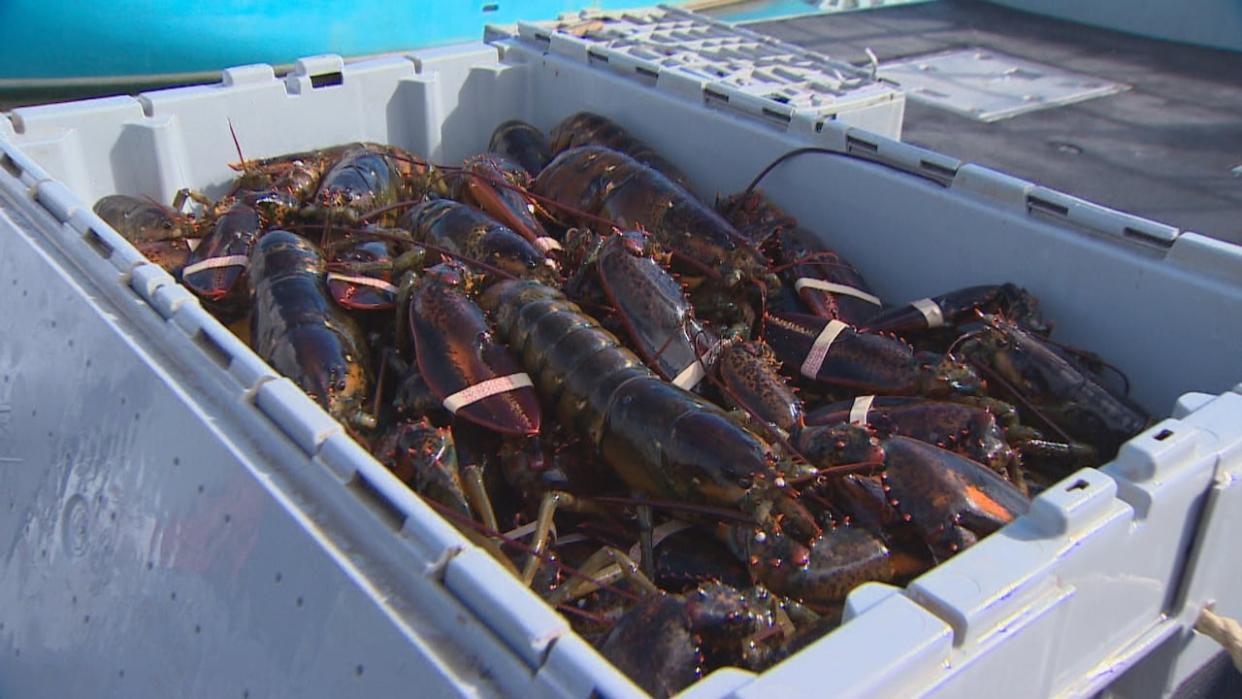 Nova Scotia seafood exports, led by lobster, have exceeded expectations set 10 years ago. (CBC - image credit)