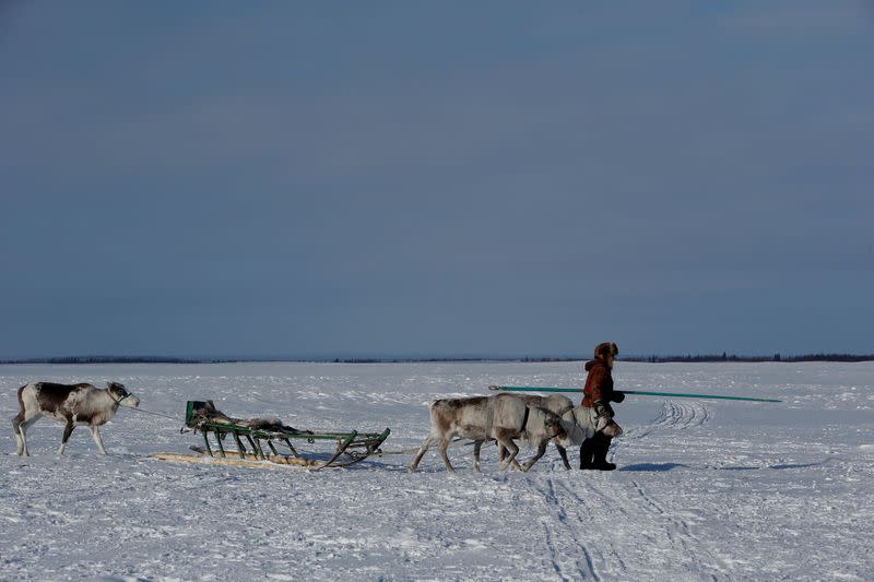 FILE PHOTO: The Wider Image: Russian voting starts early for reindeer herders