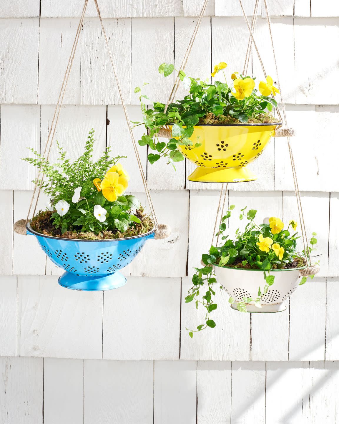 hanging colander planters