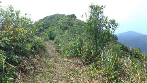 金字碑古道繞道替代路線（圖／新北市政府觀光旅遊局提供 ）