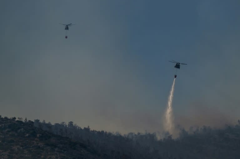 Greece is battling dozens of wildfires -- one at Mount Parnitha, known as "the lungs of Athens" was brought under control late Saturday (Aris MESSINIS)