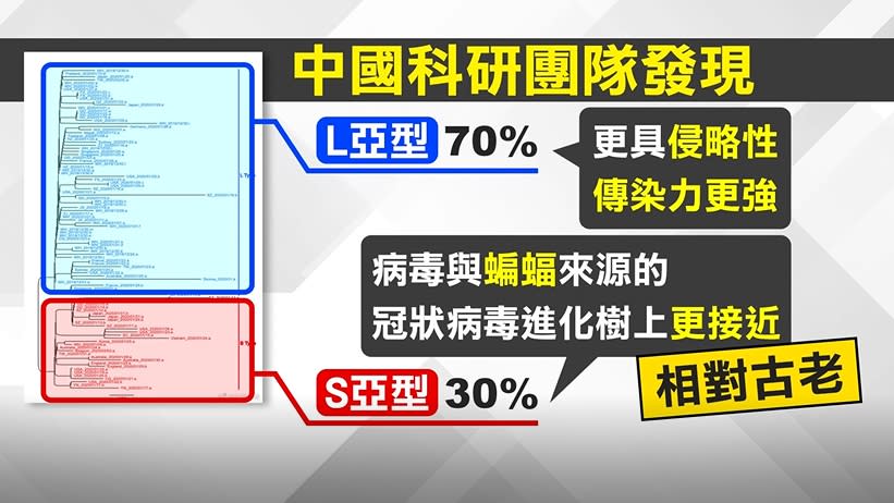 專家擔心新型冠狀病毒會不會「流感」化。（圖／東森新聞）