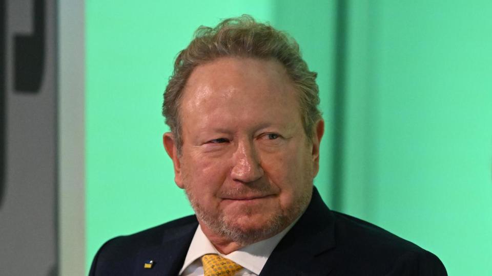 Andrew Forrest (file image)