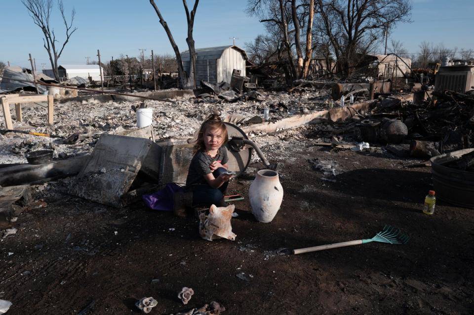 Aurora Champion does her part as her parents help a friend whose home was destroyed by the Smokehouse Creek fire on 3rd March 2024 in Stinnett, Texas (Getty Images)