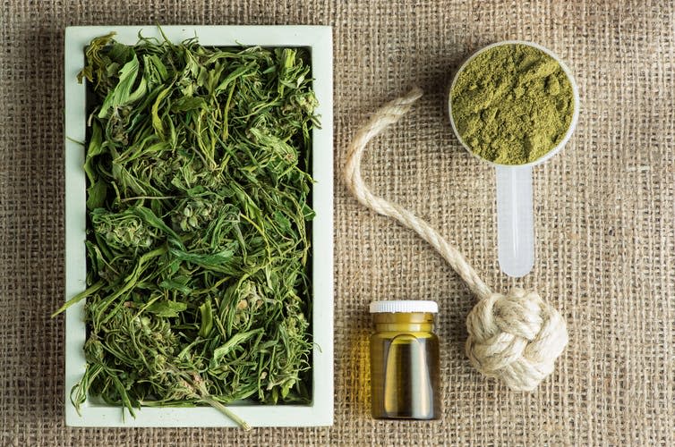 <span class="caption">Industrial hemp plant products: tea, oil, rope, protein powder and hemp fabric.</span> <span class="attribution"><span class="source">Shutterstock</span></span>