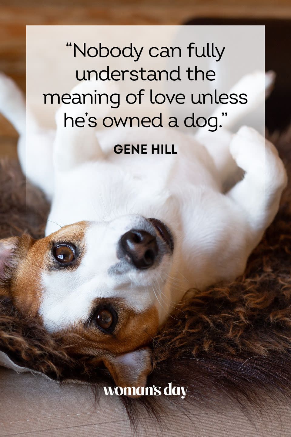 <p> “Nobody can fully understand the meaning of love unless he’s owned a dog.” </p>