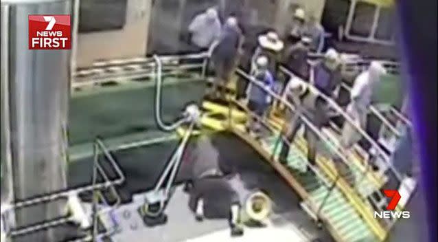 Instincts kicked in and quick-thinking relatives and ferry staff rushed to pull her from the water. Source: 7 News