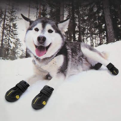 Some cosy doggy booties for when the temperatures drop