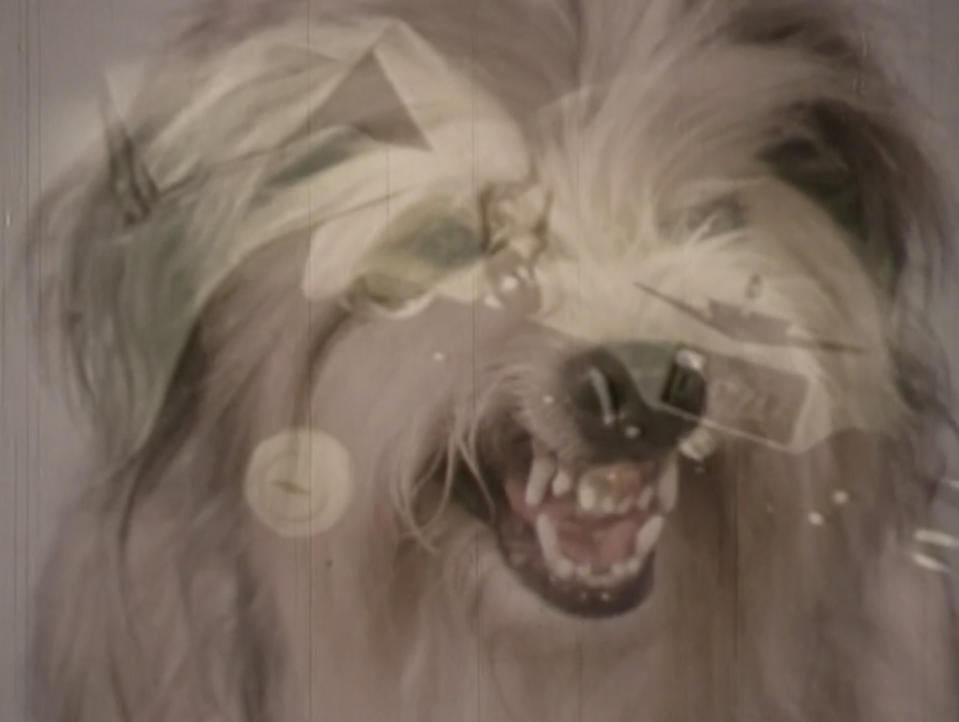 A still from the episode "Report on the Canine Auto-Mechanical Soviet Threat"<span class="copyright">Courtesy of SHOWTIME—2021 Courtesy of SHOWTIME NETWORKS INC.</span>