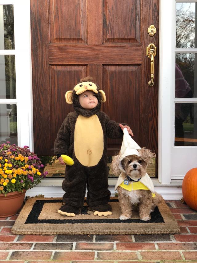 Dog And Owner Halloween Costume: Monkey and Banana