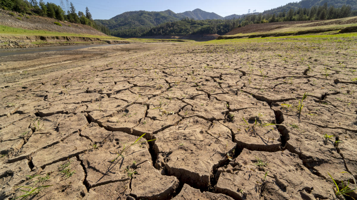 With climate change legislation stalled in Congress, states look to pick up the slack - Yahoo News