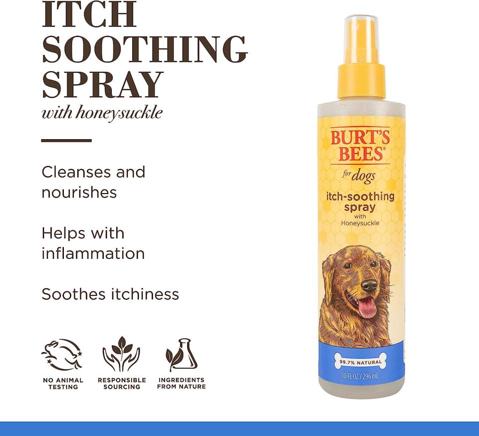Burt's Bees for Dogs Natural Itch Soothing Spray with Honeysuckle, 10 Oz. (Photo: Amazon SG)