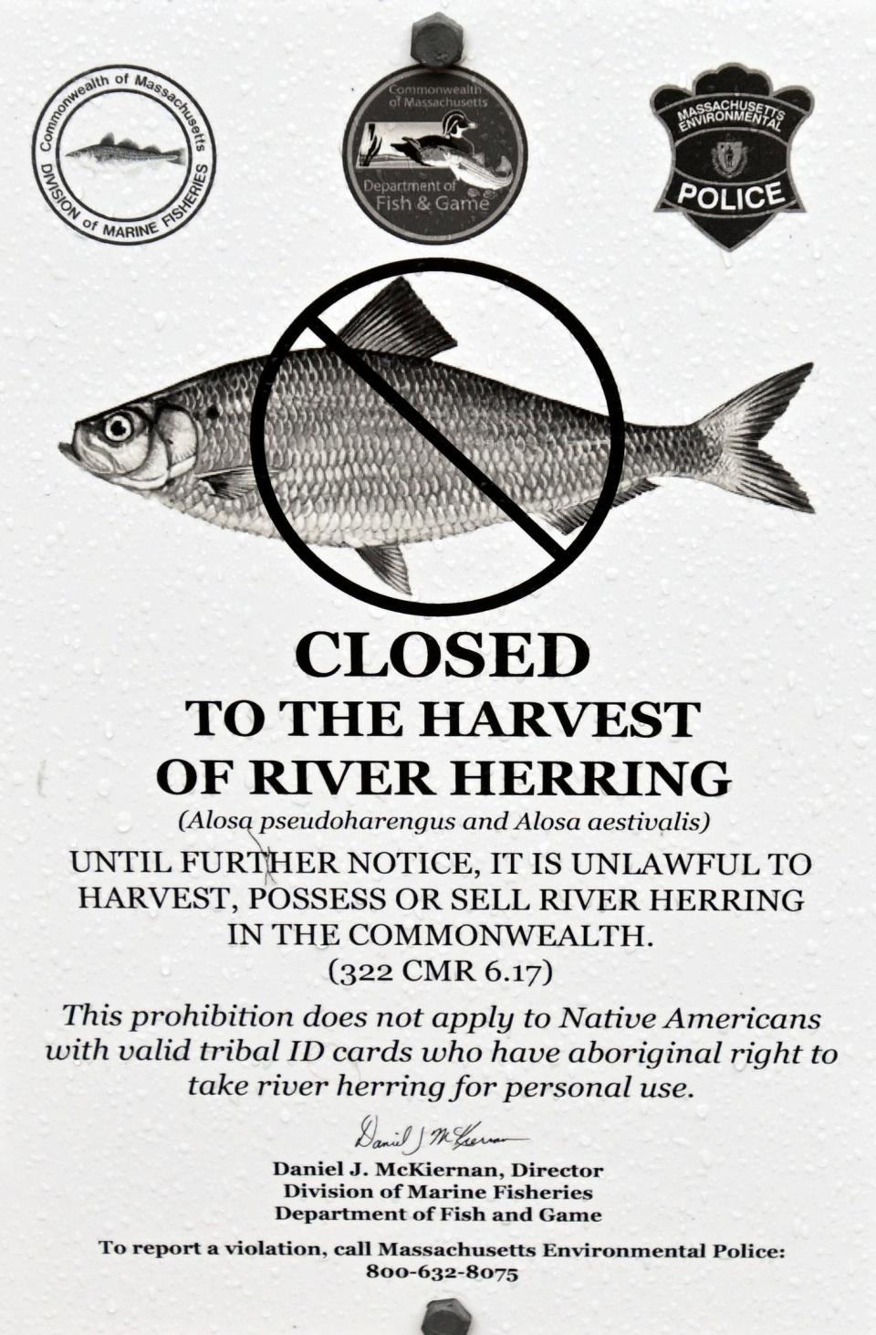 Wampanoag tribal member Earl Cash has been able to get these signs at herring runs explaining the prohibition of taking of herring does not apply to Native Americans.