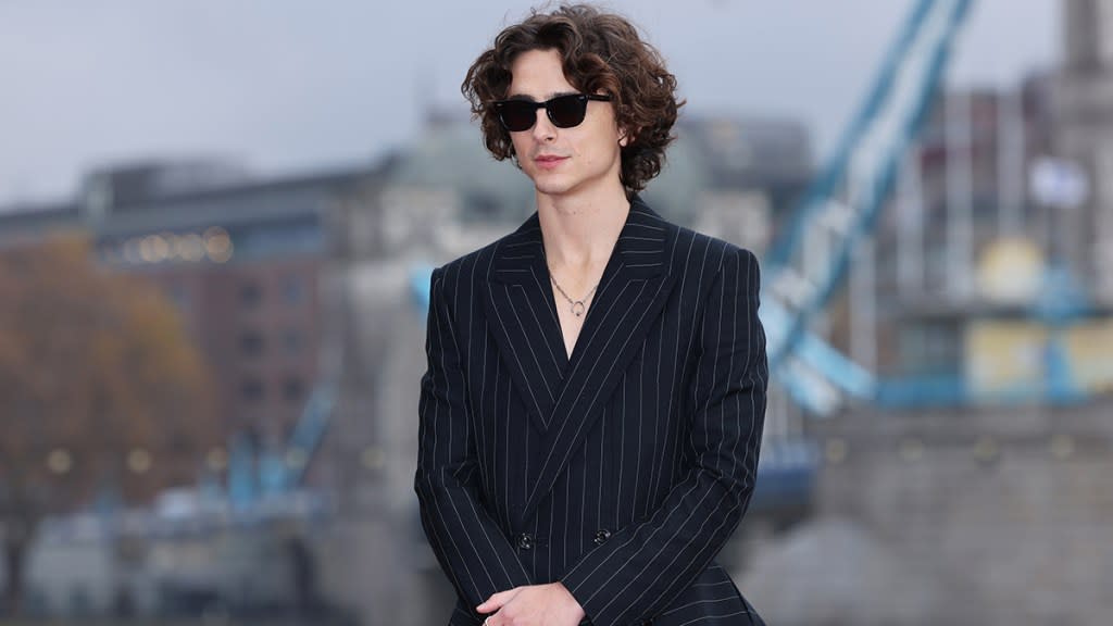 Timothee Chalamet Harry Potter