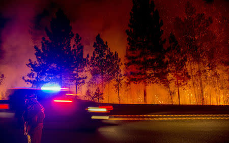 A firefighter battling the King Fire watches as a backfire burns along Highway 50 in Fresh Pond, California September 16, 2014. REUTERS/Noah Berger