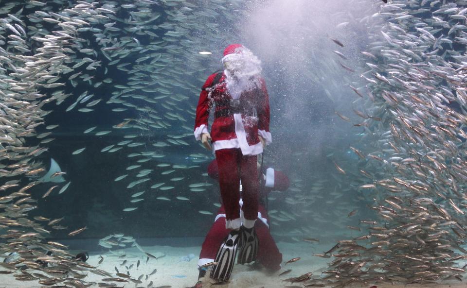 Santa Claus Diver Performs In Seoul