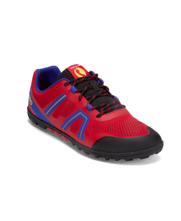 <p><a href="https://xeroshoes.com/shop/shoes/born-to-run-shoes-men/" rel="nofollow noopener" target="_blank" data-ylk="slk:Shop Now;elm:context_link;itc:0;sec:content-canvas" class="link ">Shop Now</a></p><p>Born to Run</p><p>$119.99</p><p>xeroshoes.com</p>