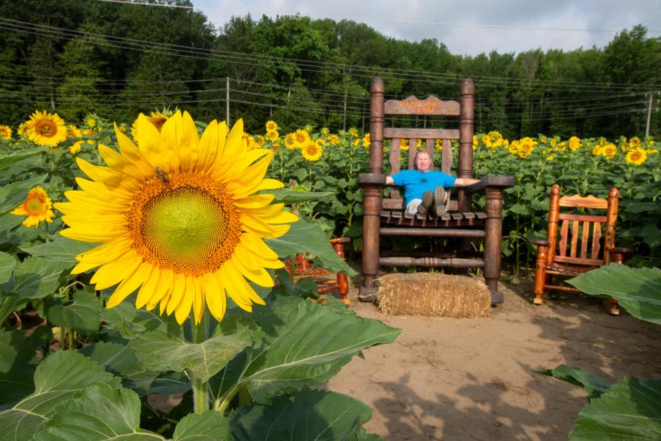 Owner Tim Stockel, shown in 2020 in the middle of the sunflower fields at Happy Day Farm in Manalapan.