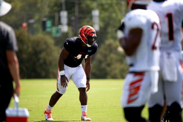 Cincinnati Bengals wide receiver Auden Tate (19) runs downfield