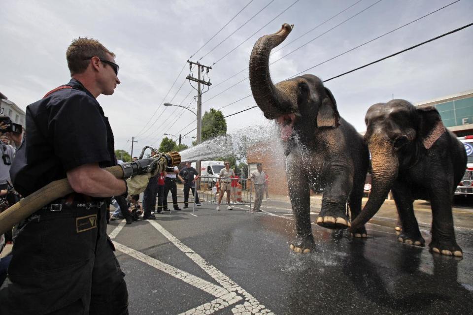 FILE - In this May 13, 2009 file photo, Firefighter Eforrest Allmond houses down Asian Elephants from Ringling Bros. and Barnum & Bailey circus in Philadelphia. The Ringling Bros. and Barnum & Bailey Circus will end "The Greatest Show on Earth" in May, following a 146-year run of performances. Kenneth Feld, the chairman and CEO of Feld Entertainment, which owns the circus, told The Associated Press when the company removed the elephants from the shows in May of 2016, ticket sales declined more dramatically than expected. (AP Photo/Matt Rourke, File)