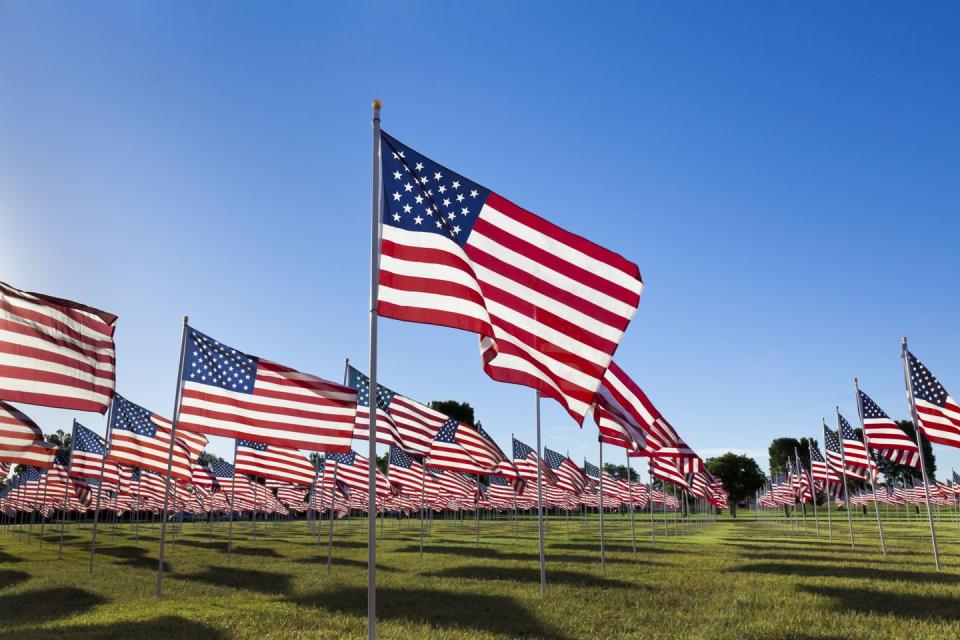 june holidays american flags in a field for flag day