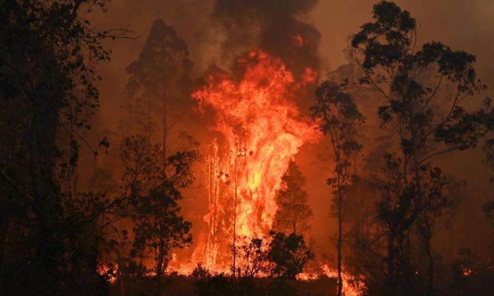 <span>Photograph: Peter Parks/AFP via Getty Images</span>