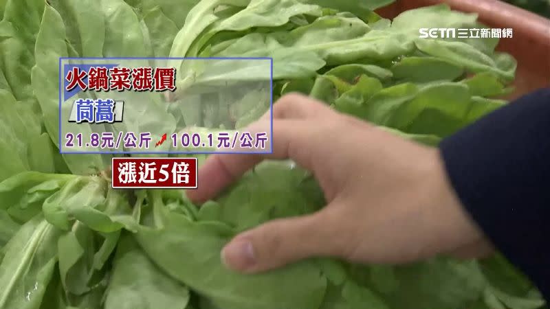 茼蒿一公斤已經破百元。