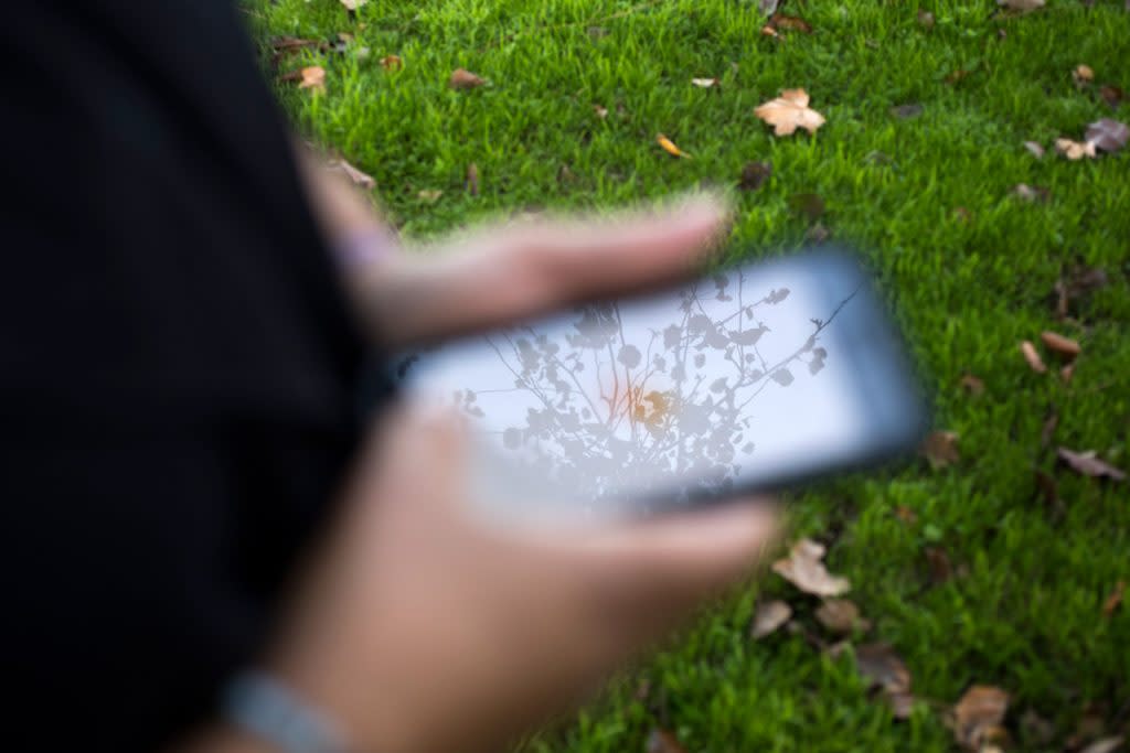 A branch from a bush is reflected in a phone.