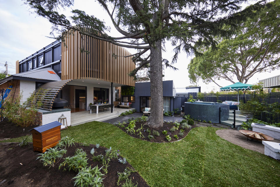 A wide shot of the yard with a large tree in the middle of grass area, the BBQ area on the left and the plunge pool on the right. 