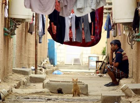 A cat is seen as an Asian worker sits at his accommodation in Qadisiya labour camp, Saudi Arabia August 17, 2016. Picture taken August 17, 2016. REUTERS/Faisal Al Nasser