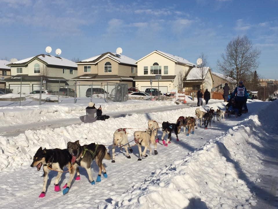 Dogs pulling a sled during the Iditarod in Alaska