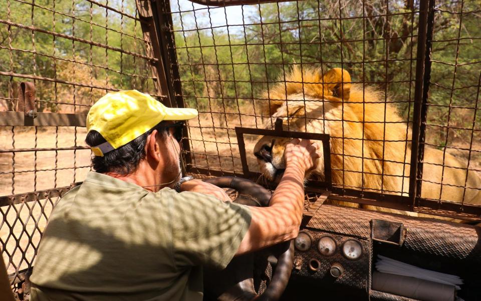 isitors attend tours in a caged land vehicle to visit Ranch de Bandia Lion and Nature Park in Nguekhokhe, 70 kilometers away from Dhakar, Senegal